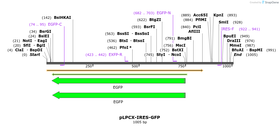 115118_map