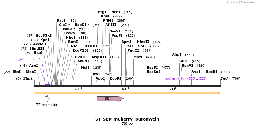 115122_map
