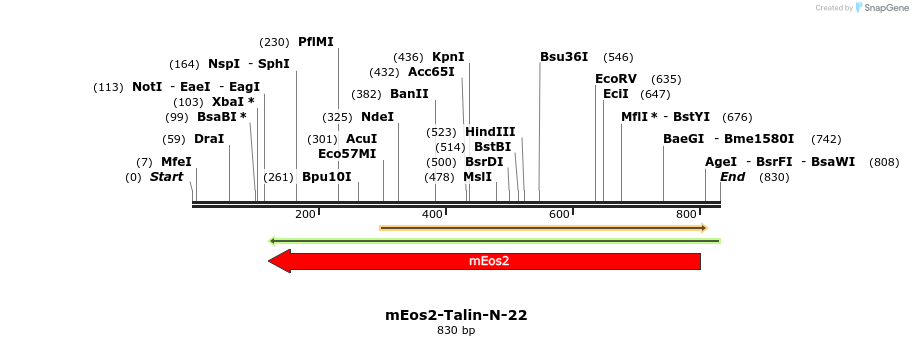 115123_map