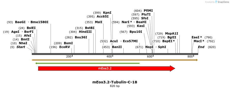 115124_map