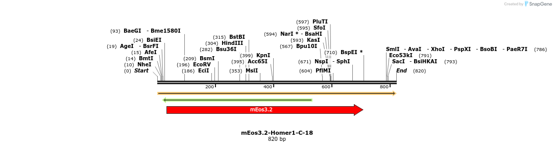115125_map