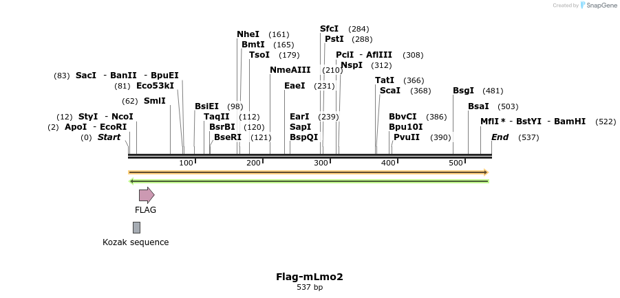 115129_map