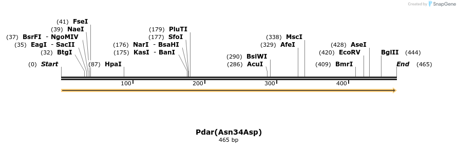 11513_map
