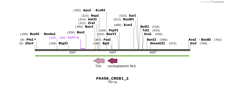 115134_map