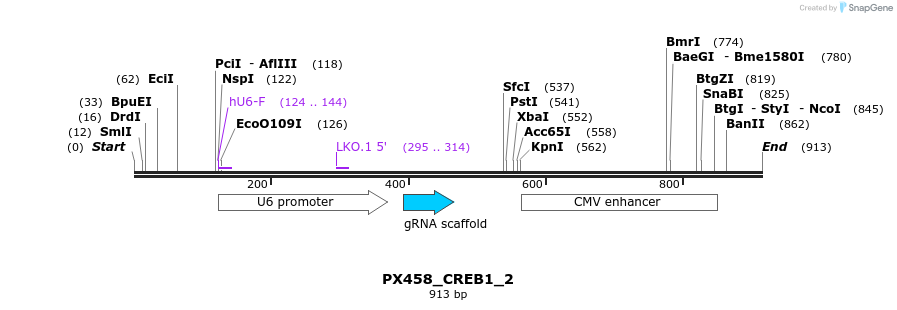 115136_map