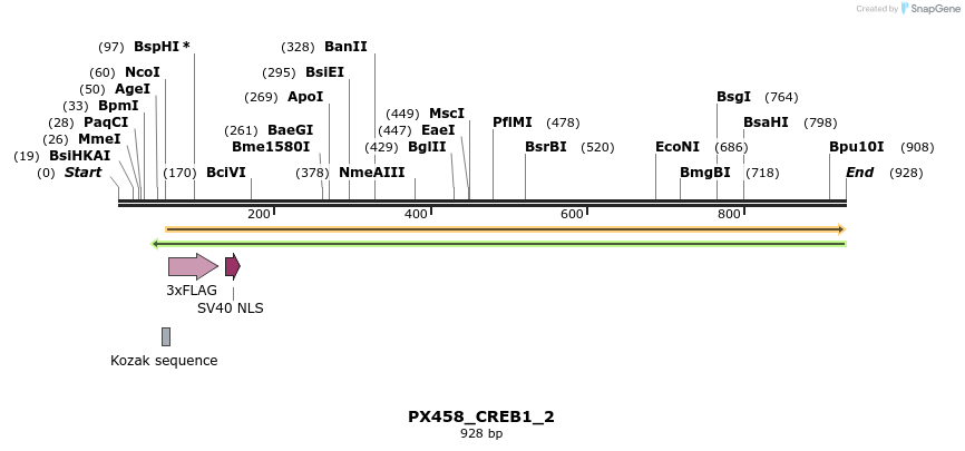 115137_map