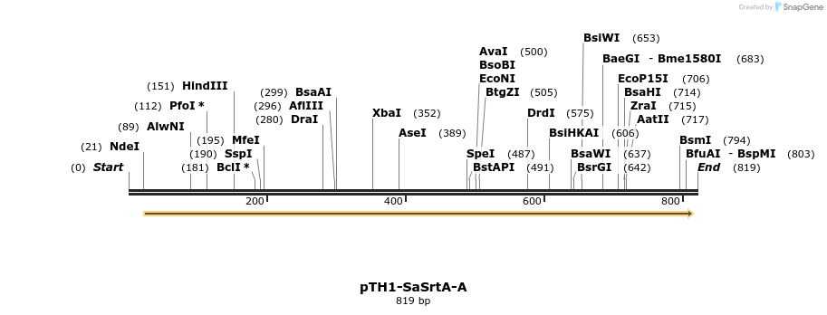 115138_map
