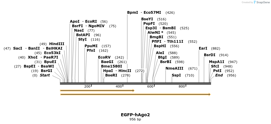 115139_map