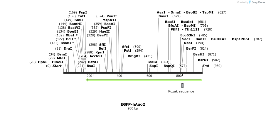 115140_map