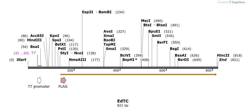 115143_map