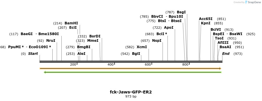 115149_map