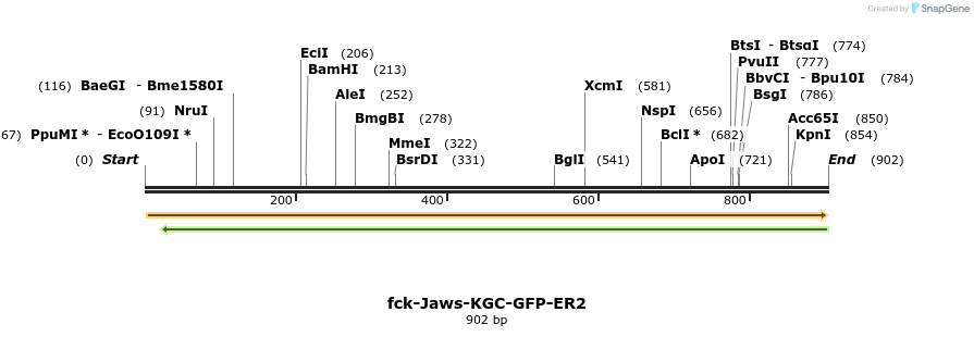 115151_map