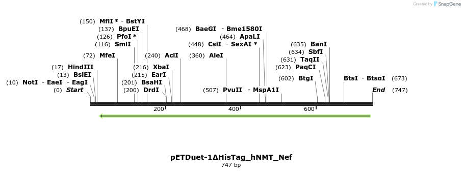 115154_map