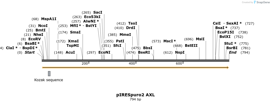 115156_map