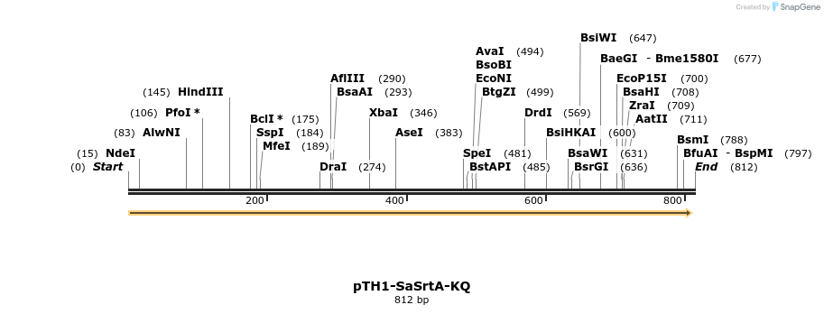 115159_map