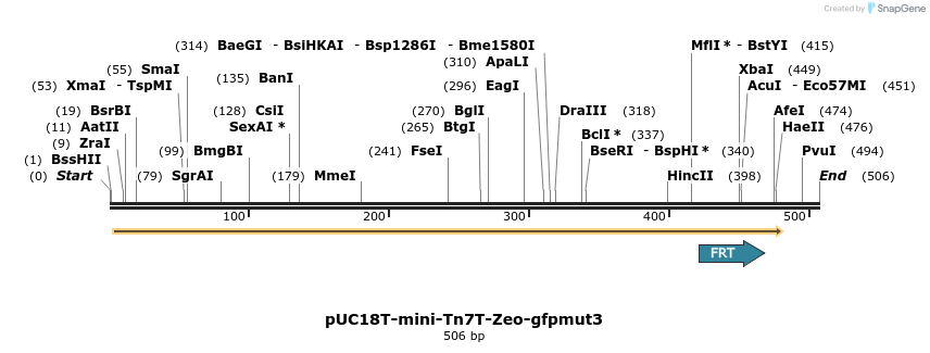 115174_map