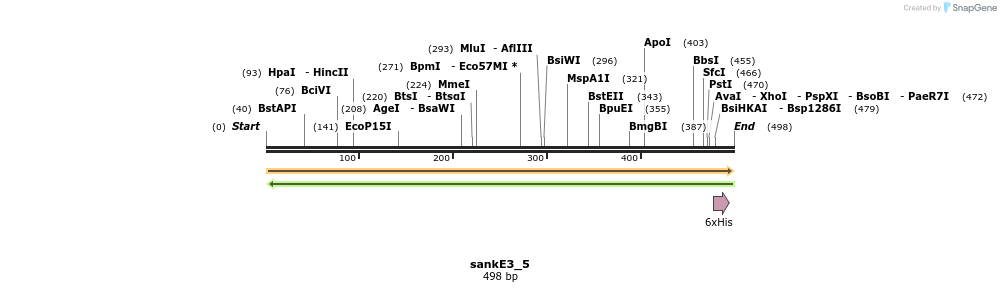11518_map
