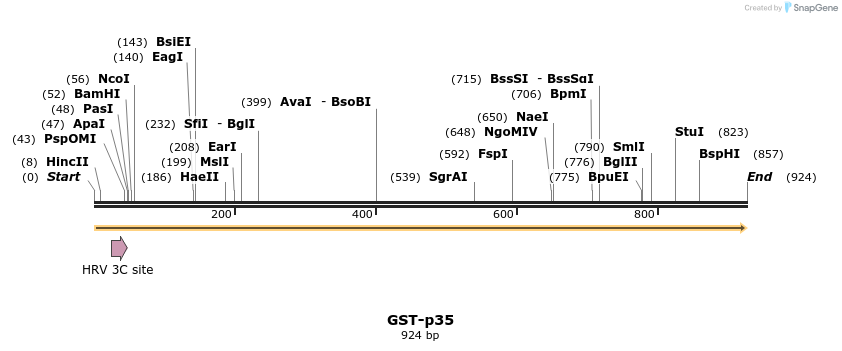 11519_map
