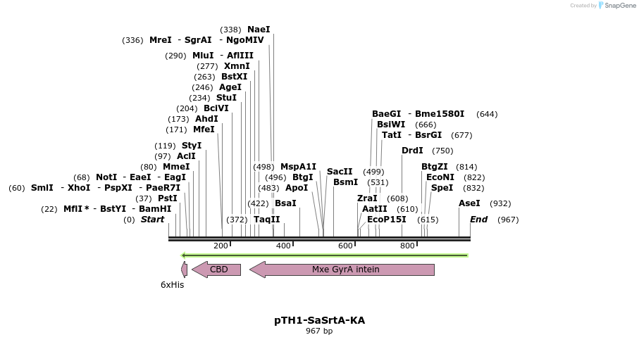 115197_map
