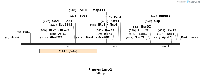 115198_map