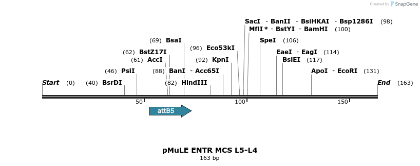 115199_map