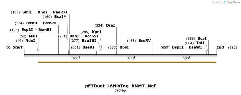115218_map