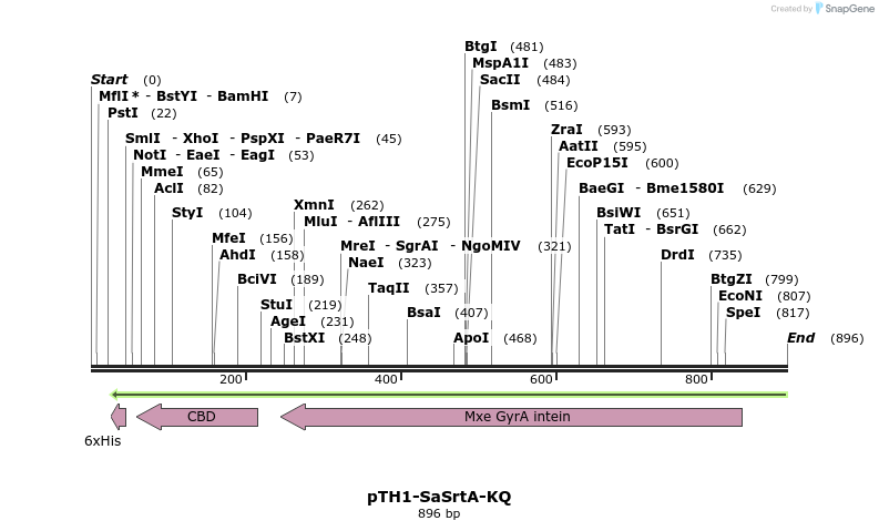 115220_map