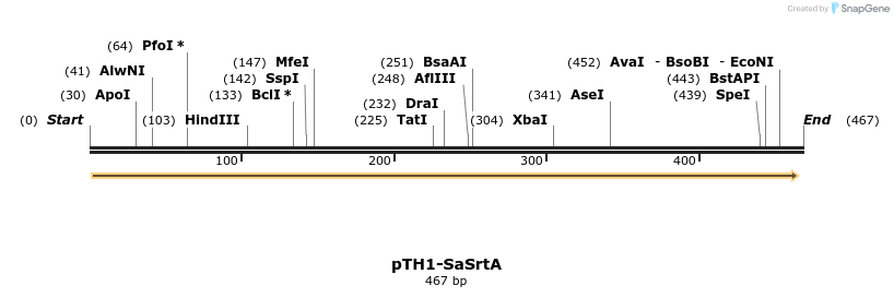 115229_map
