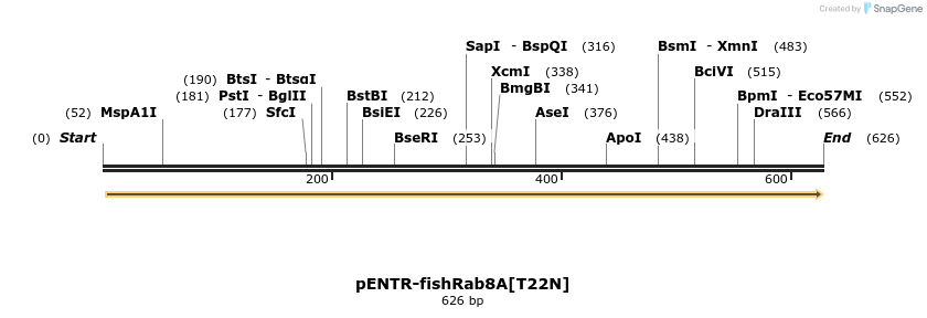 11523_map