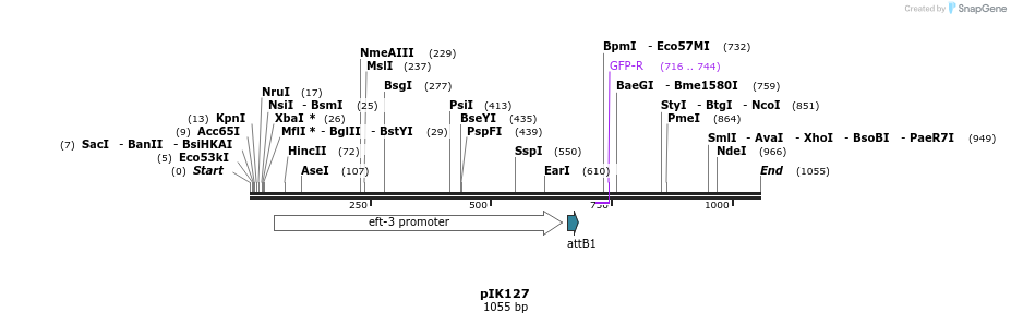 115235_map