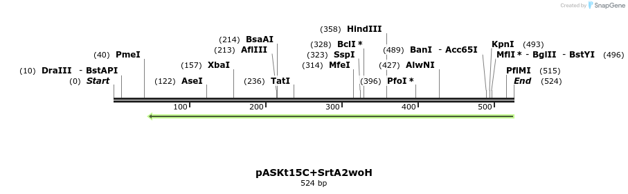 115236_map
