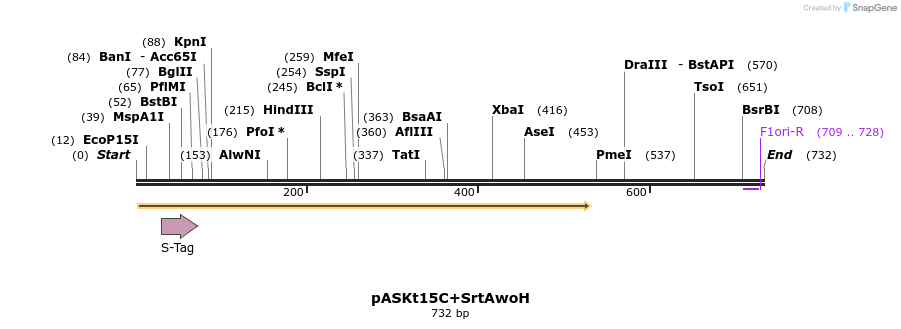 115238_map