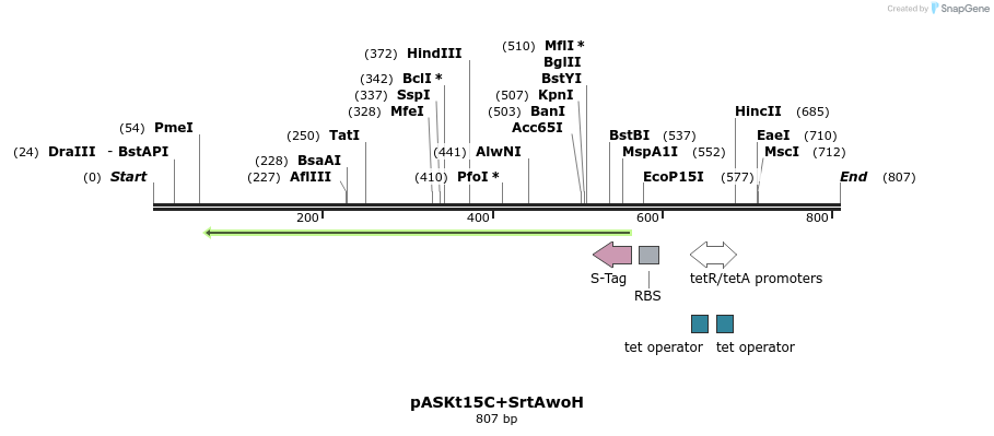 115242_map