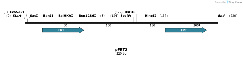 115245_map