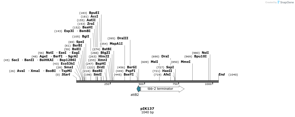 115247_map