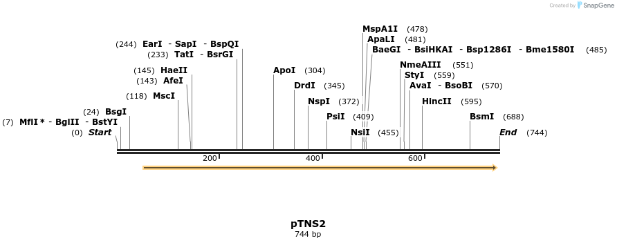 115248_map