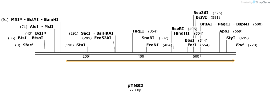 115250_map
