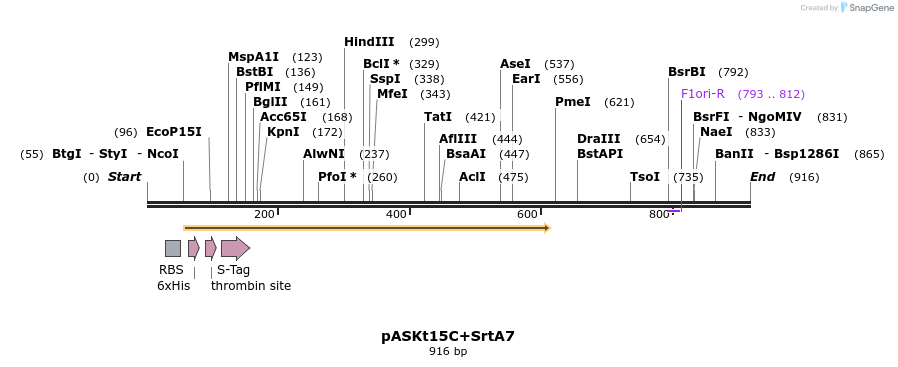 115251_map