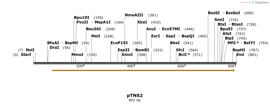 115252_map