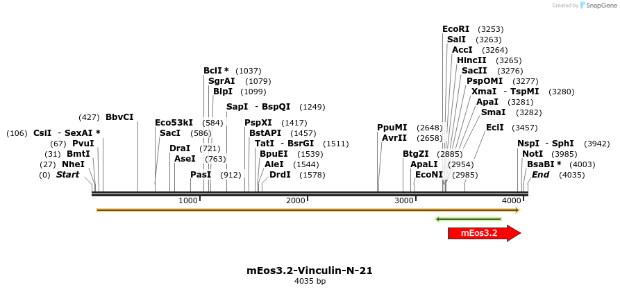 115254_map