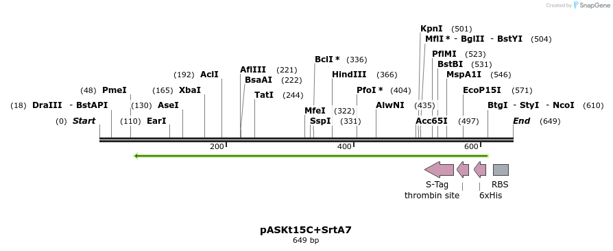 115263_map