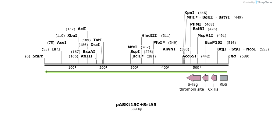 115271_map