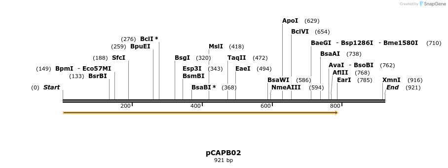 115281_map