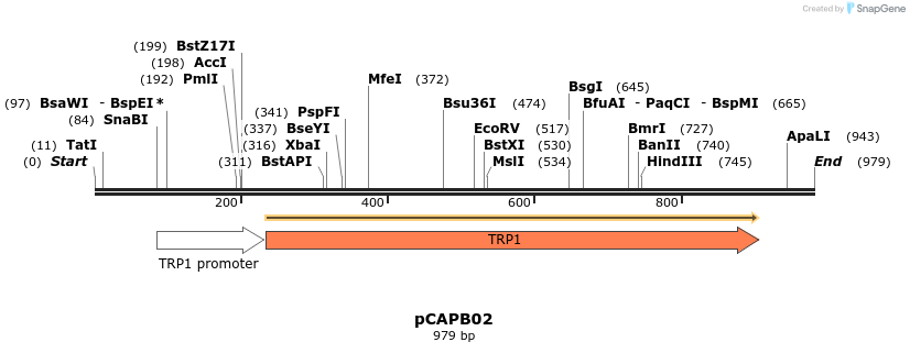 115285_map
