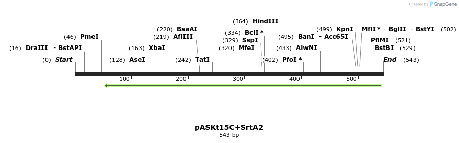 115286_map