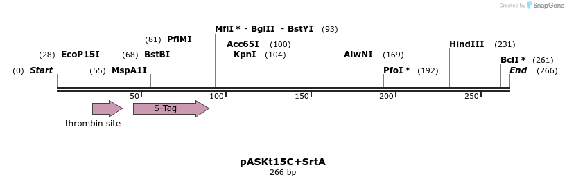 115292_map