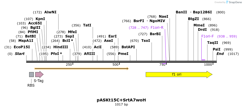 115295_map