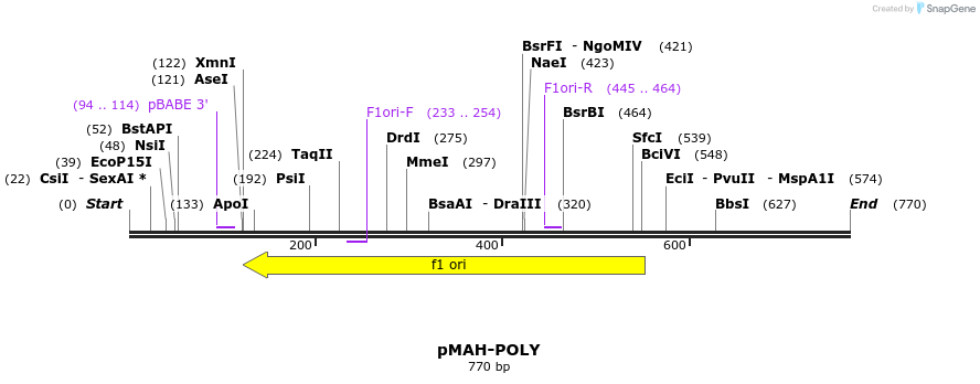 115298_map