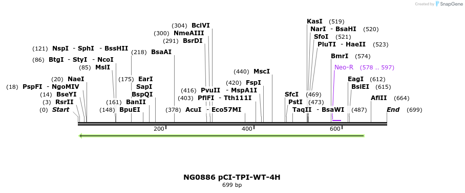 115299_map