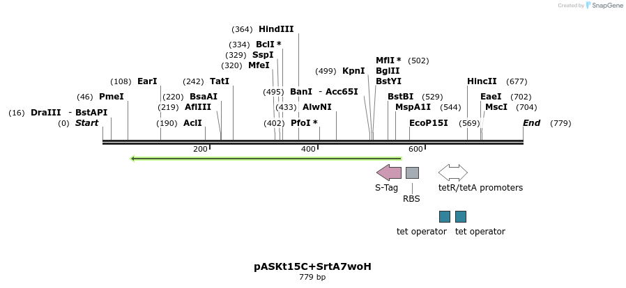 115302_map